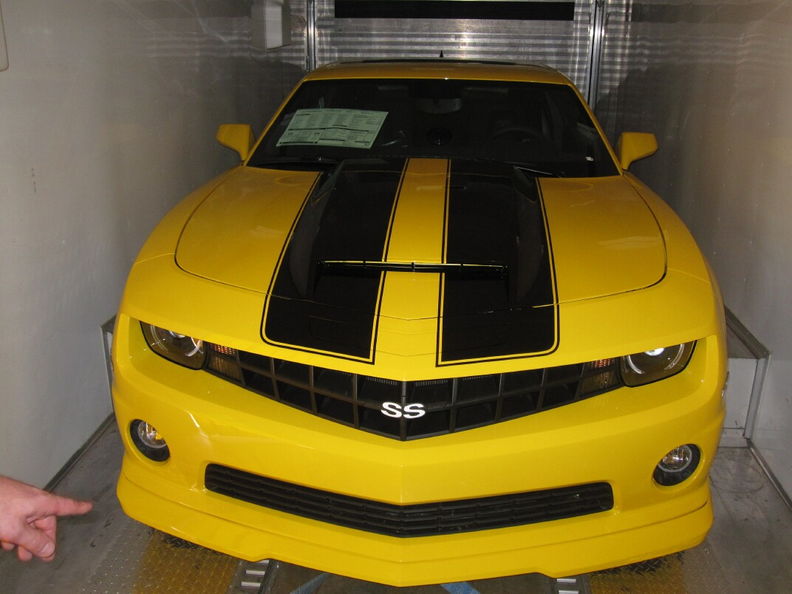 2010 11-05 Bumble Bee (0).jpg