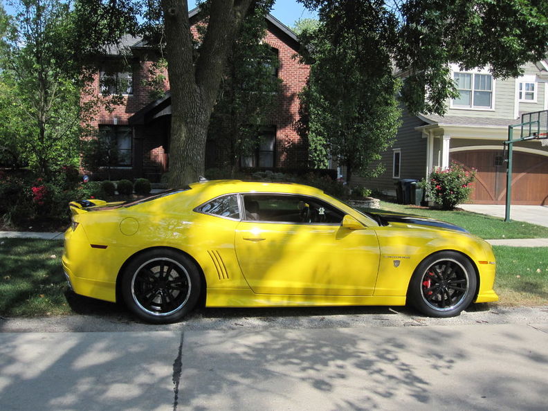 2012 07-06 Bumble Bee Niche Wheels (1).jpg