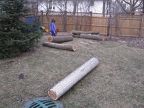 2011 03-11 Yard (1)