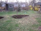 2011 04-13 Landscape (3)