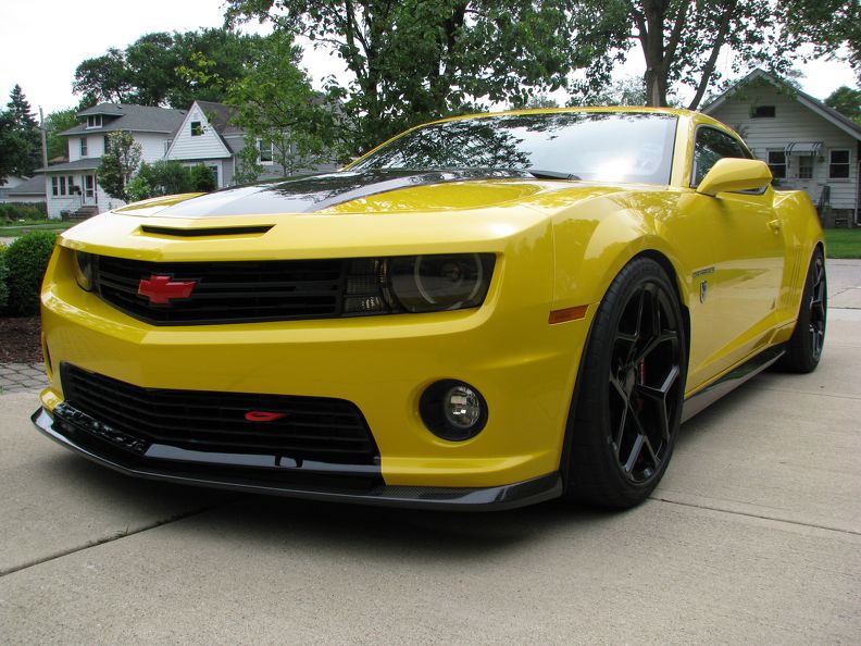 2015 06-28 Bumble Bee (4)