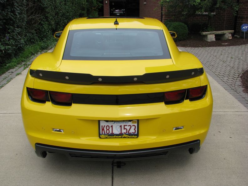 2015 06-28 Bumble Bee (10)