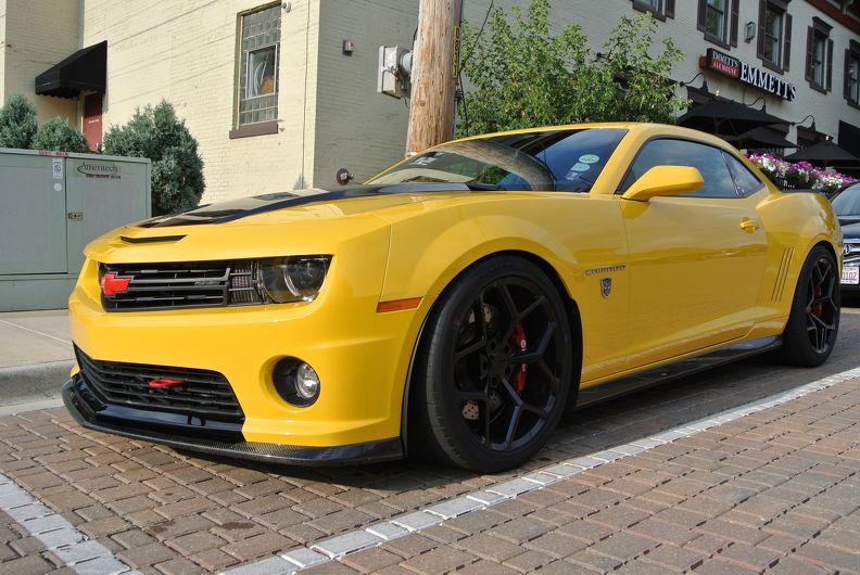 2015 08-07 Bumble Bee