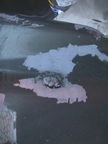 2001 02-18 (20)