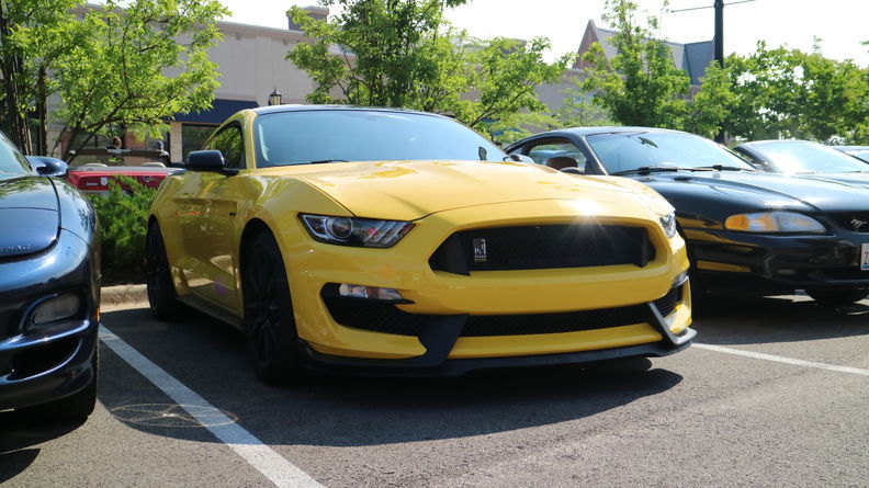 2019-07-06 09.34.50 (Large).jpg