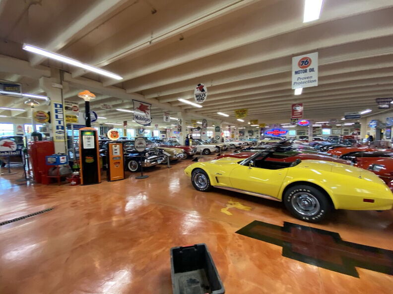 2020-07-04 14.52.03 (Large).jpg