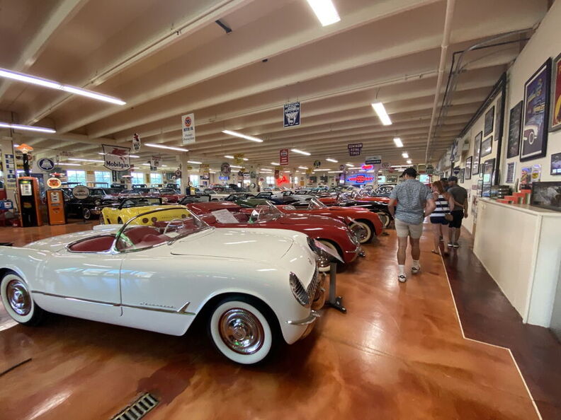 2020-07-04 14.52.21 (Large).jpg