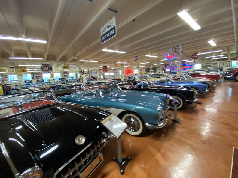 2020-07-04 14.52.45 (Large).jpg