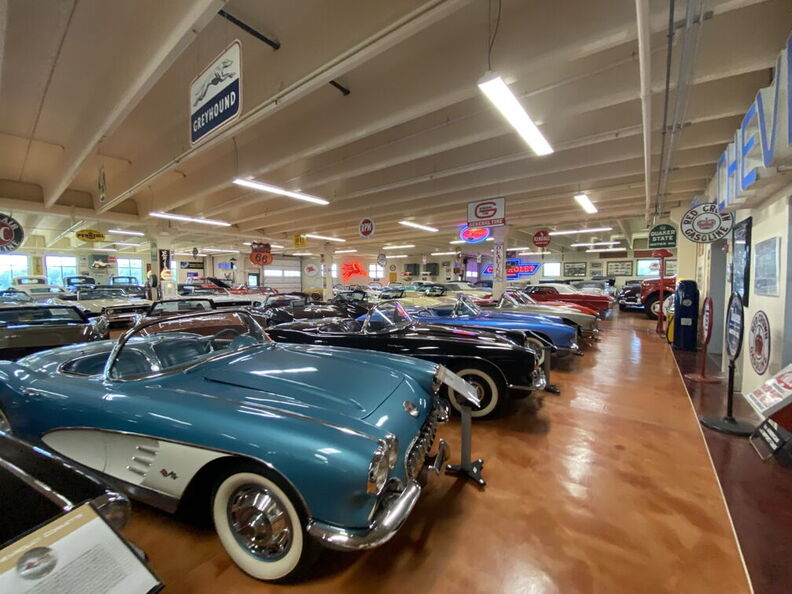 2020-07-04 14.52.47 (Large).jpg