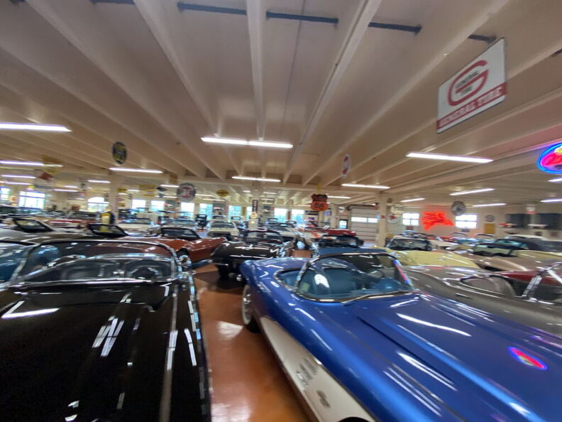 2020-07-04 14.52.53 (Large).jpg