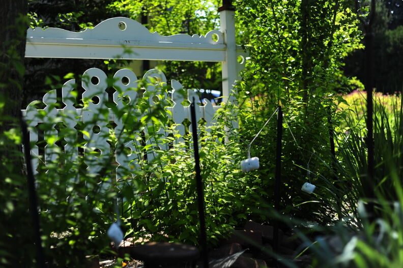 2010, 05-29 Frae's Garden 134 (Large).JPG