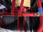 2023 11-21 2nd Chance (6) Seat Belt Harness (Large)
